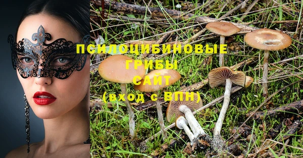 амф Белоозёрский