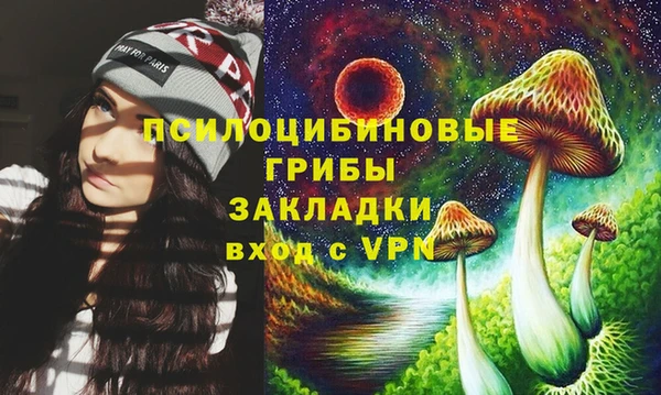 гашик Снежинск