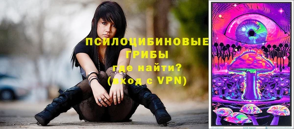 молекула духа Слюдянка